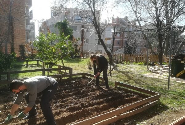 Fenix, a therapeutic garden and orchard for drug addicts