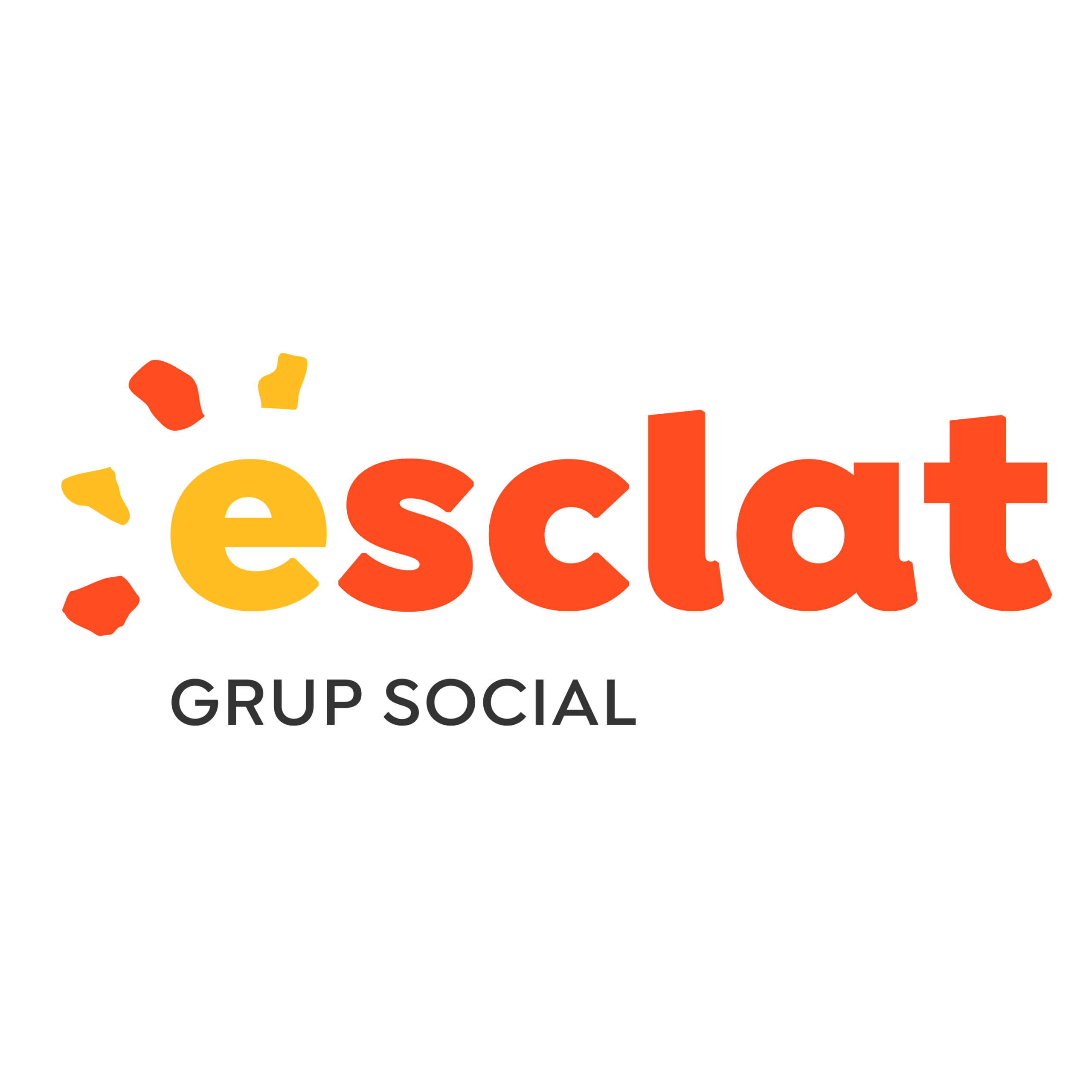 Logo Esclat Grup Social