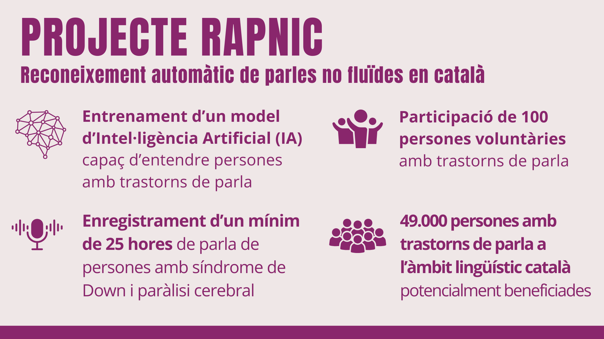 Infografia que sintetitza les característiques i els beneficis de RAPNIC descrits en el text.