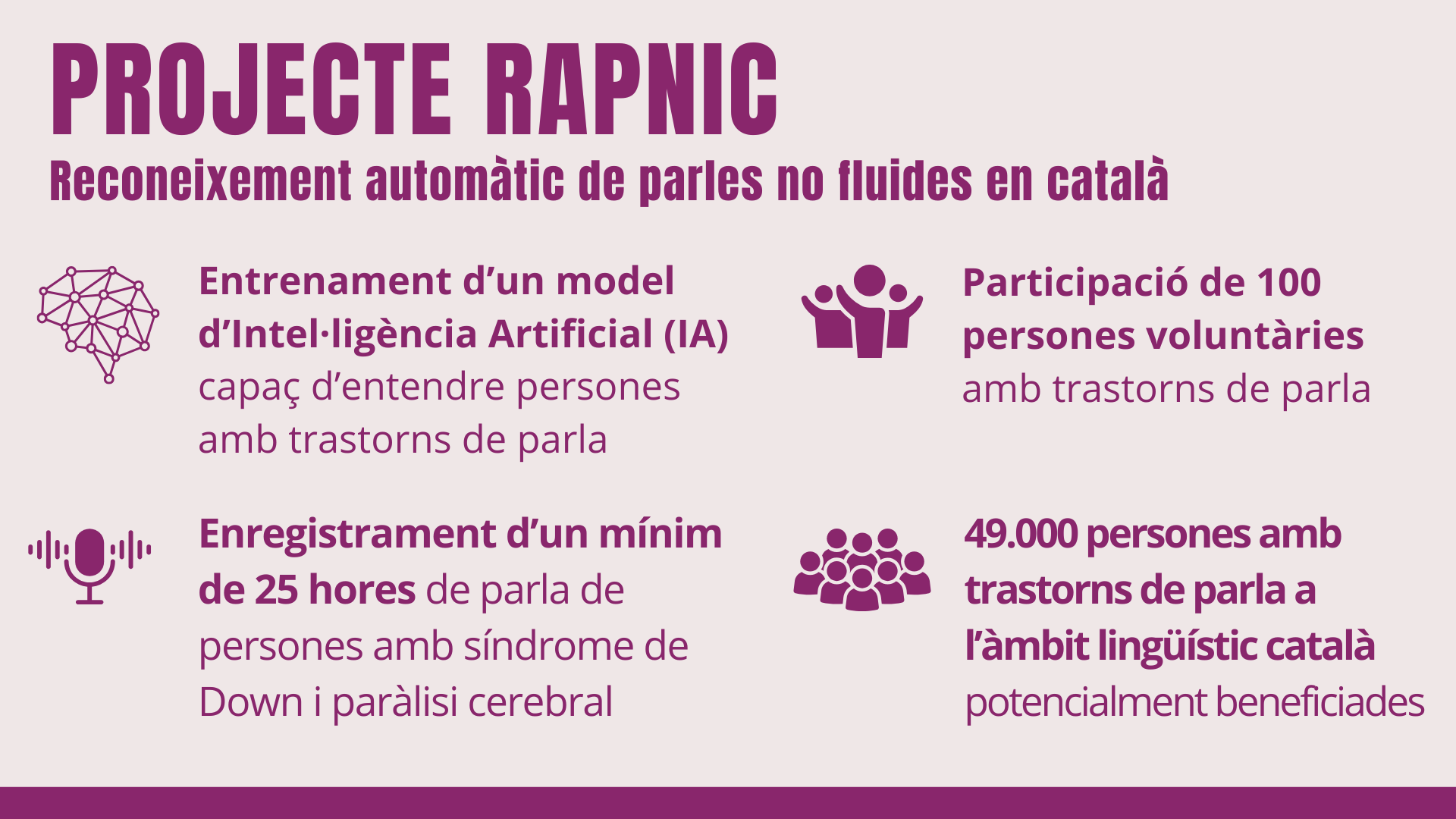 Infografia que sintetitza les característiques i els beneficis de RAPNIC descrits en el text.